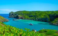 Cap sur les îles d’Ogasawara, les Galápagos du Japon