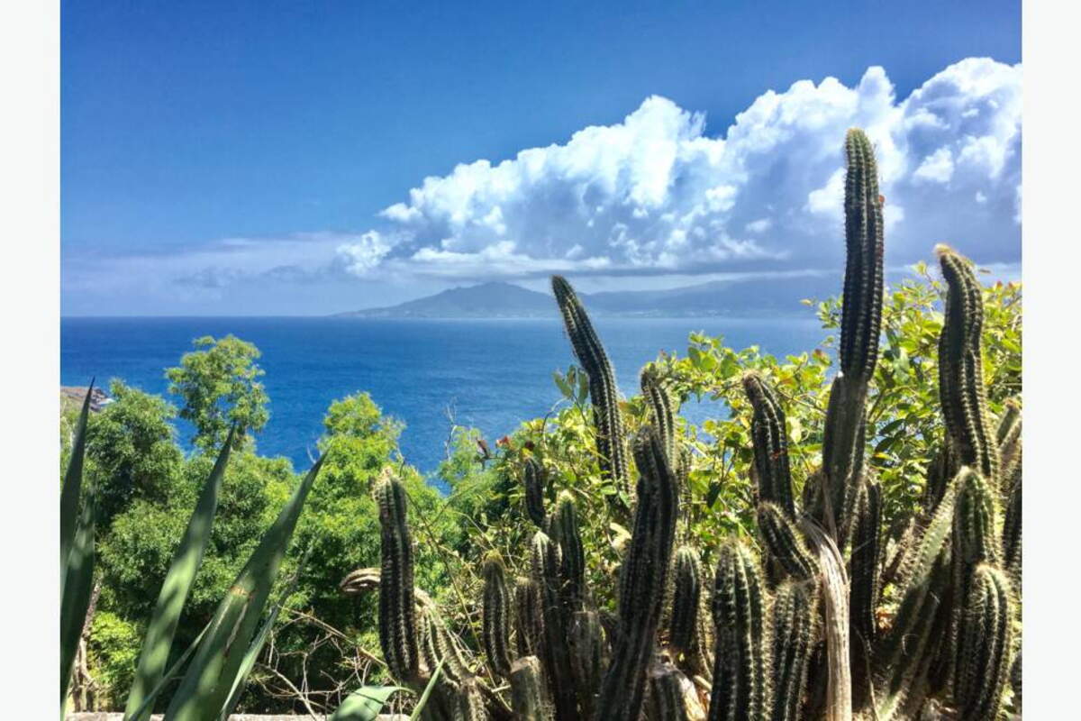 Antilles les plus belles photos de la Communauté GEO GEO — free download