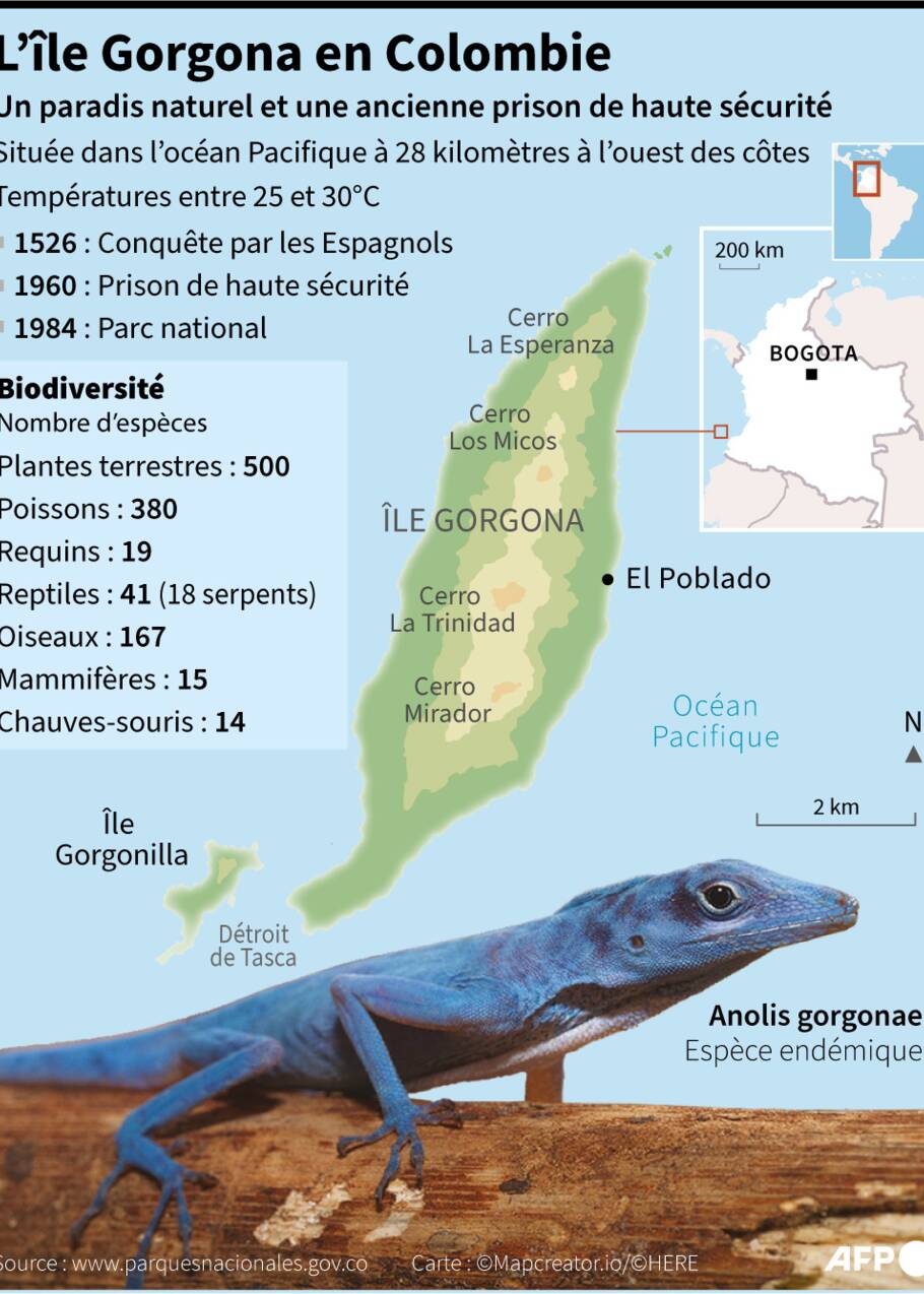 L'île de Gorgona en Colombie : des serpents, des bagnards et des baleines