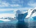Des scientifiques découvrent des fragments de vie sous l'Antarctique 