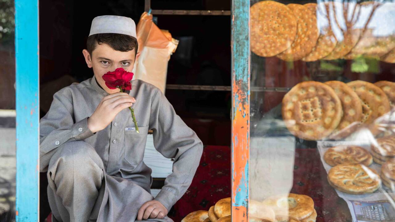 Afghanistan : contre les kalachnikovs, Kaboul cultive les roses de l'espoir 