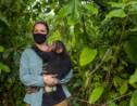 Les pistes de la primatologue Amandine Renaud pour garantir la sauvegarde des grands singes