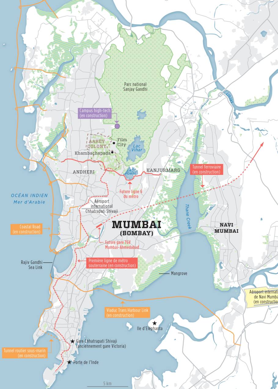 En Inde, une incroyable jungle au cœur de Mumbai menacée par de grands chantiers