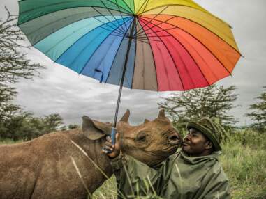 Vital Impacts : de magnifiques photos de faune sauvage et de nature vendues pour la bonne cause 