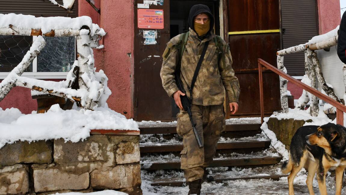 Sur le front en Ukraine, chats et chiens remontent le moral aux soldats