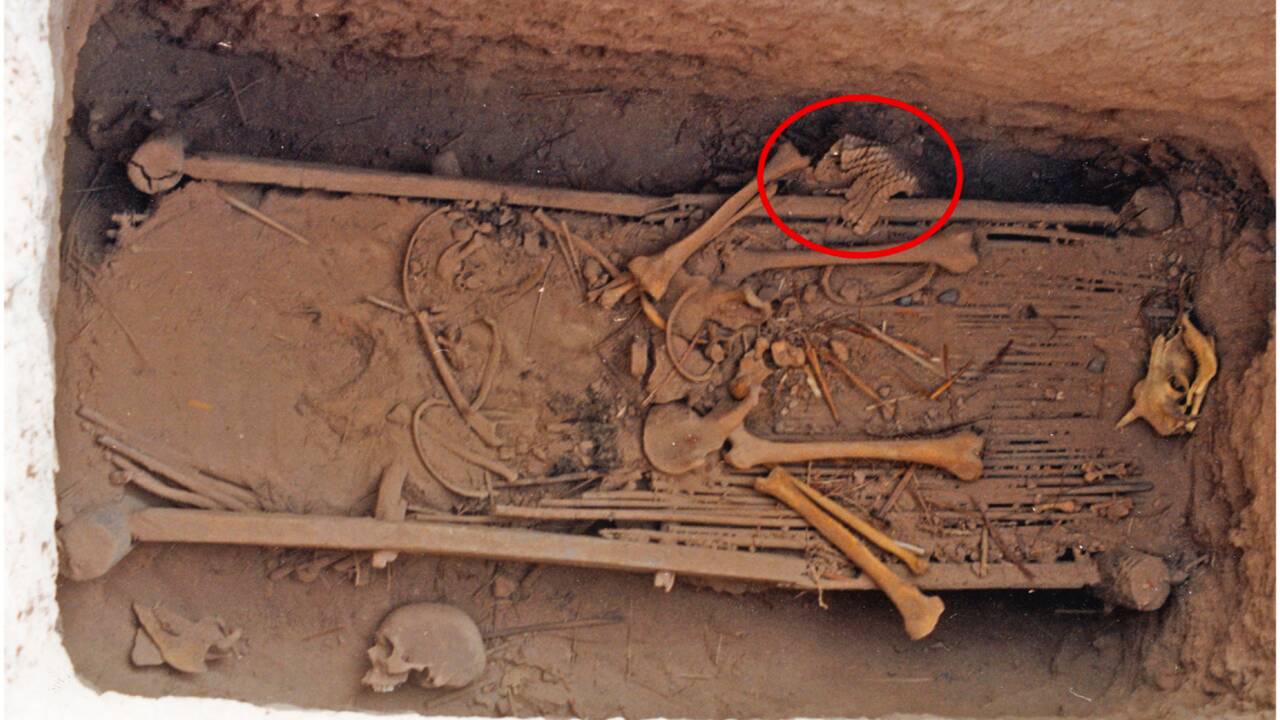 Chine : une armure en écailles de cuir découverte dans une tombe datant de 2500 ans