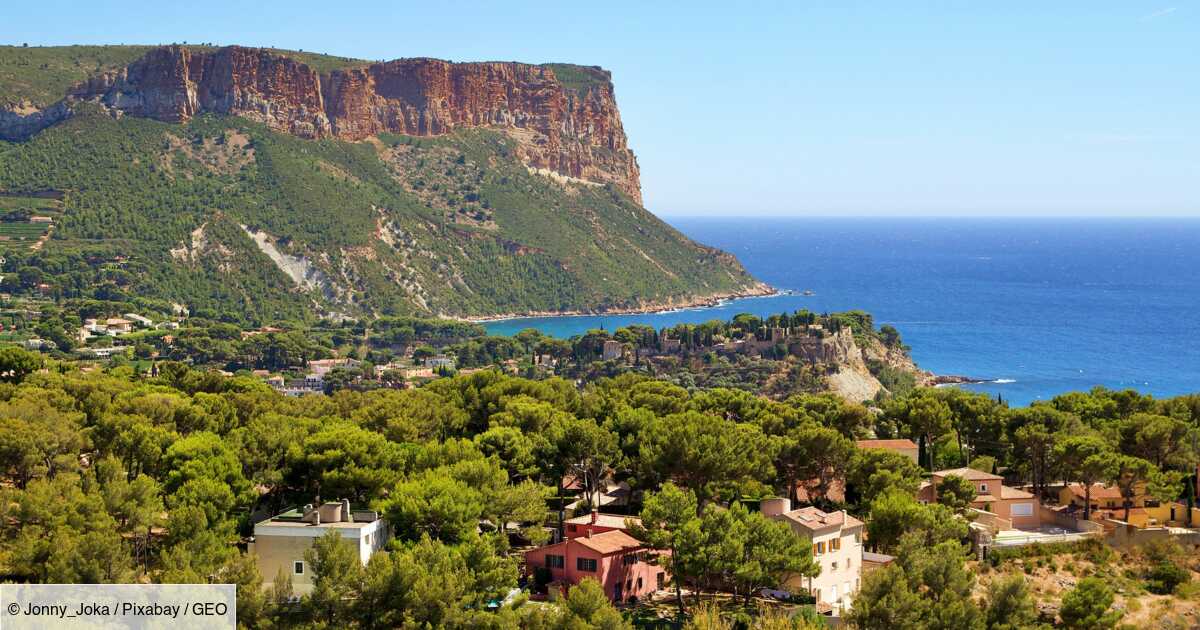 La région Provence-Alpes-Côte d'Azur veut planter cinq millions d'arbres