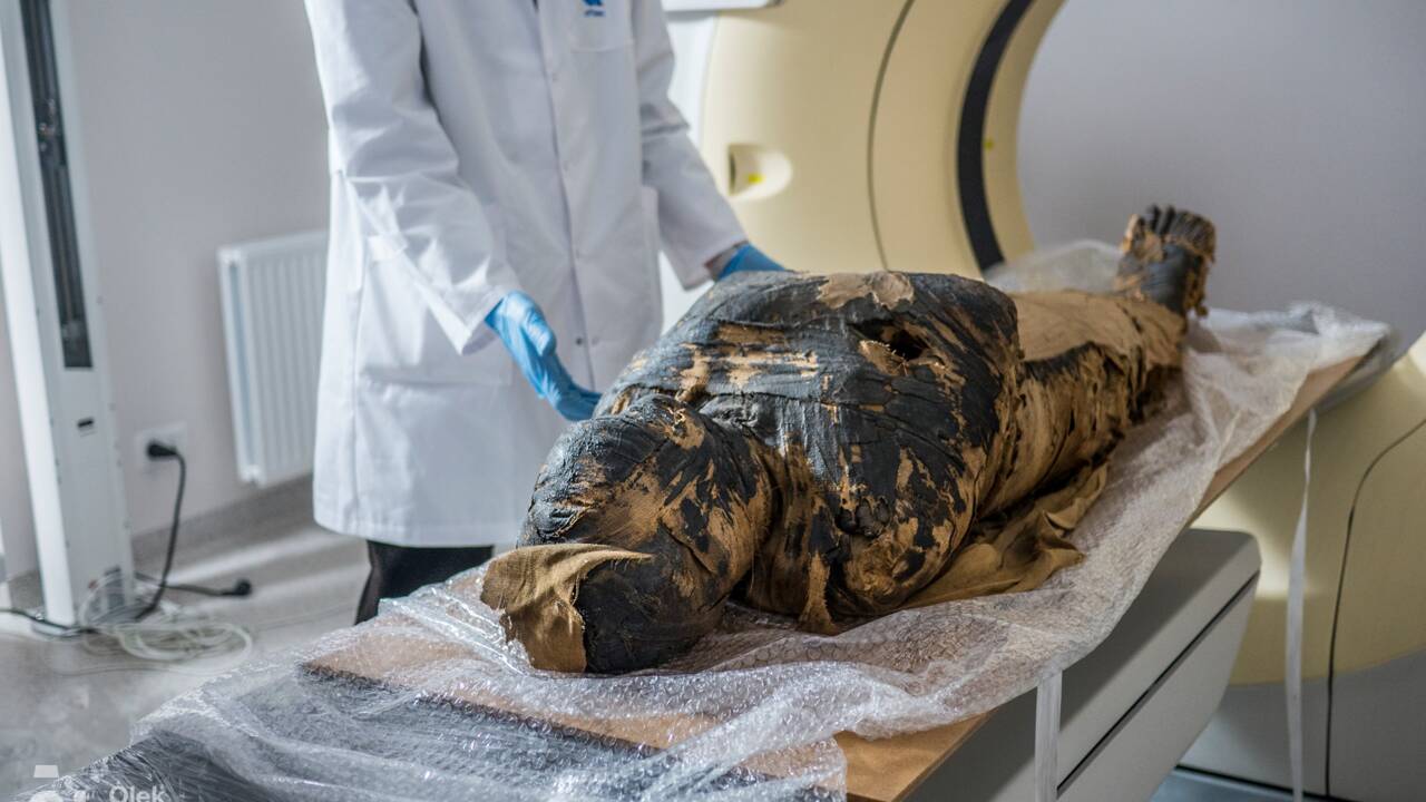 Comment un fœtus est resté préservé pendant 2000 ans dans une momie égyptienne