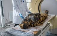 How a fetus was preserved in an Egyptian mummy for 2000 years
