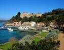France : une algue rouge invasive repérée dans une deuxième zone de Méditerranée