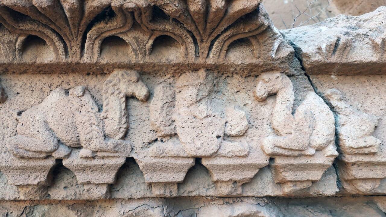Des bas-reliefs prouvent l'existence de dromadaires hybrides en Irak au deuxième siècle de notre ère