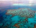 La Grande Barrière de corail de nouveau victime d'un "vaste blanchissement"