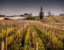 Viticulture : l’agroécologie par Château Cheval Blanc, un exemple à suivre