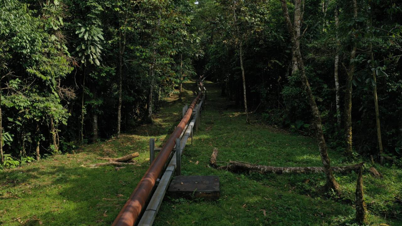 Une énorme fuite de pétrole souille une réserve environnementale de l'Amazonie