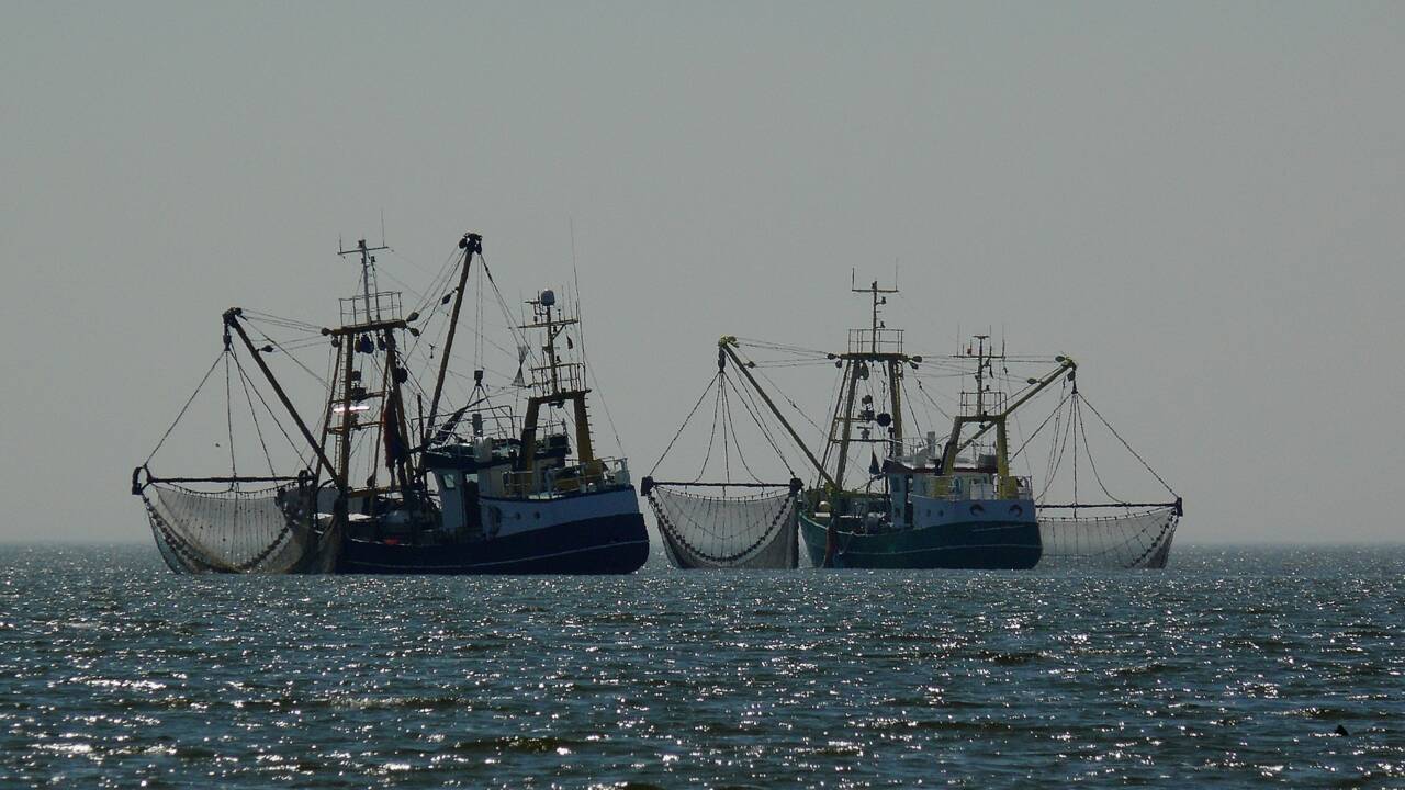 Pêche: le rejet de poissons morts, interdit en théorie dans l'UE, mais encore pratiqué