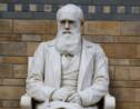 Charles Darwin : qu'est-ce que la théorie de l'évolution ?