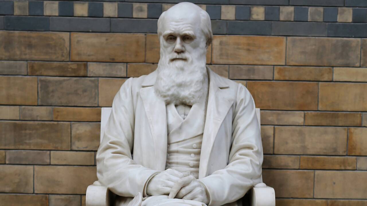 Charles Darwin : qu'est-ce que la théorie de l'évolution ?