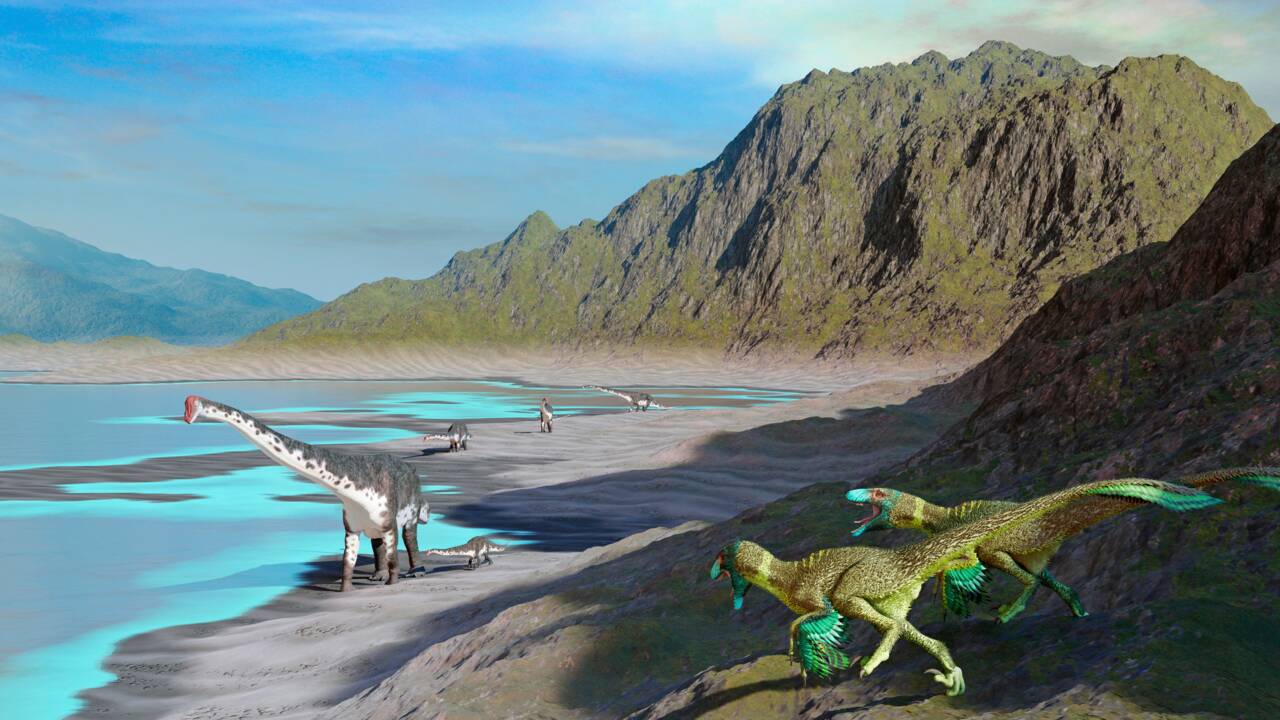 A Orcau en Catalogne, la découverte d'une nouvelle espèce de dinosaure immense fascine