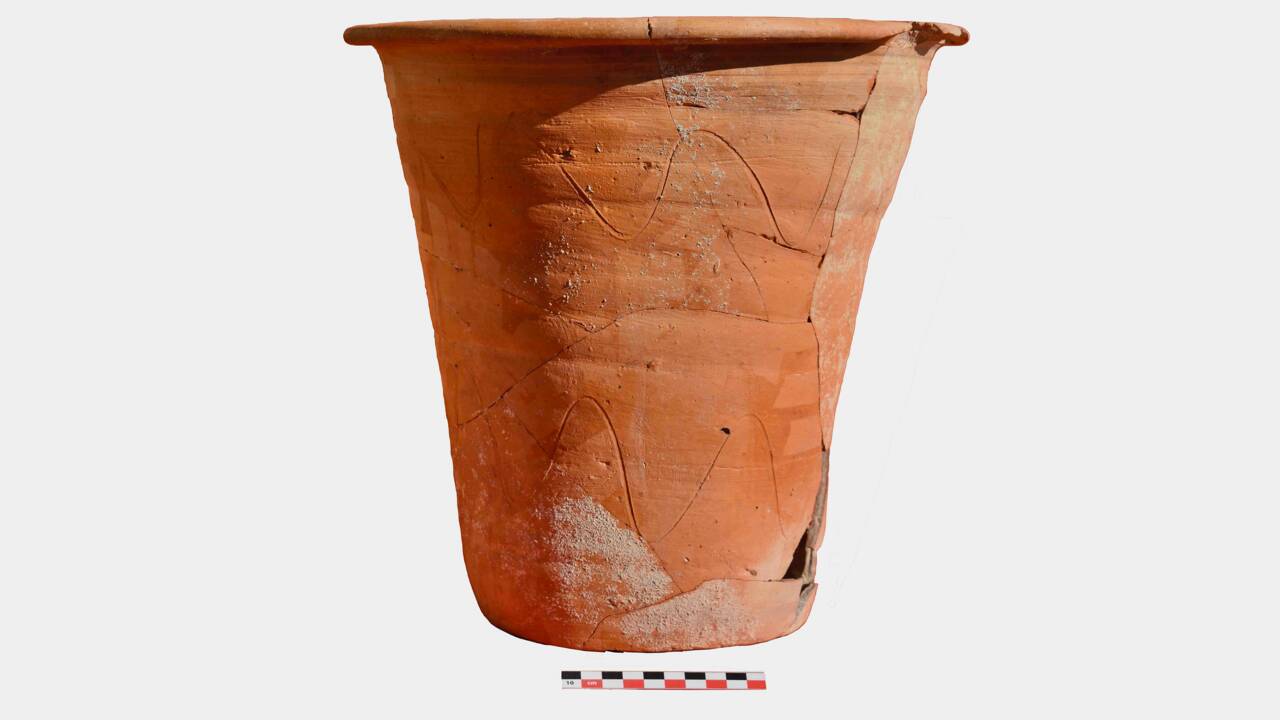 Des parasites révèlent la vraie nature d'un pot de 1500 ans découvert dans une villa romaine