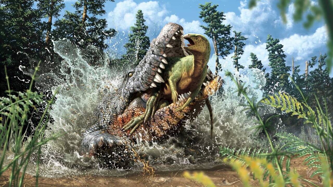 Le dernier repas de ce crocodile de 95 millions d'années était un petit dinosaure