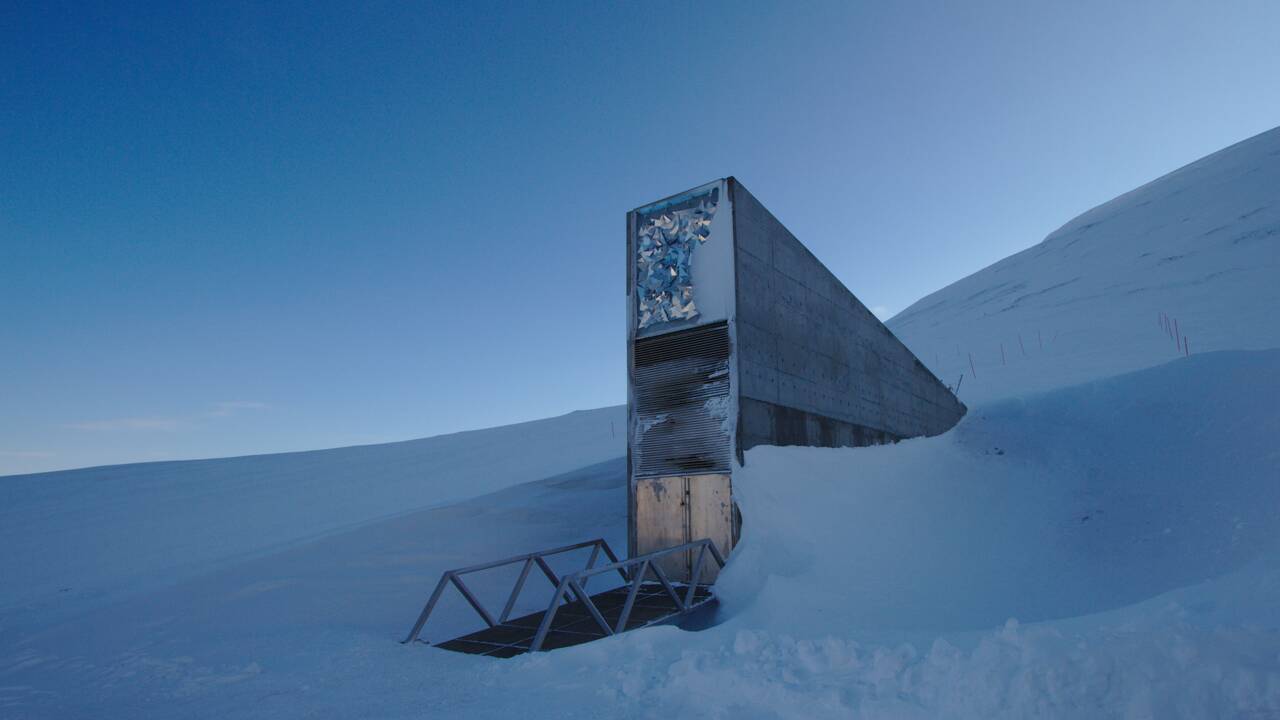 L'arche de Noé végétal du Svalbard a reçu de nouvelles semences