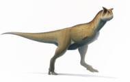 Dinosaurio carnívoro con brazos diminutos de 70 millones de años, descubierto en Argentina