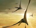Le fossile du "plus grand ptérosaure du Jurassique" découvert en Ecosse 