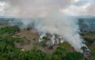 Amazônia: o “ponto de inflexão”, que pode transformar a floresta em savana, se aproxima mais rápido do que o esperado