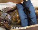 Des scientifiques veulent percer le secret d'une étrange "momie de sirène" retrouvée au Japon 