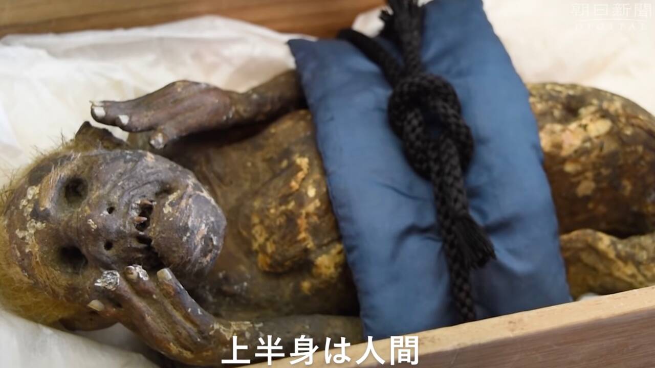 Des scientifiques veulent percer le secret d'une étrange "momie de sirène" retrouvée au Japon 