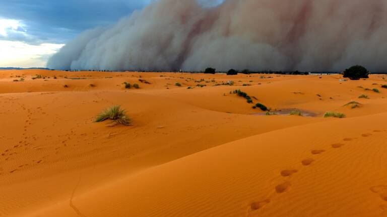Du sable du Sahara teinte le ciel en jaune sur le sud et l'est de la ...