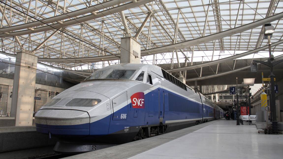 Manifestation pour les salaires jeudi : faible perturbation du trafic SNCF à prévoir, sauf dans l'Est