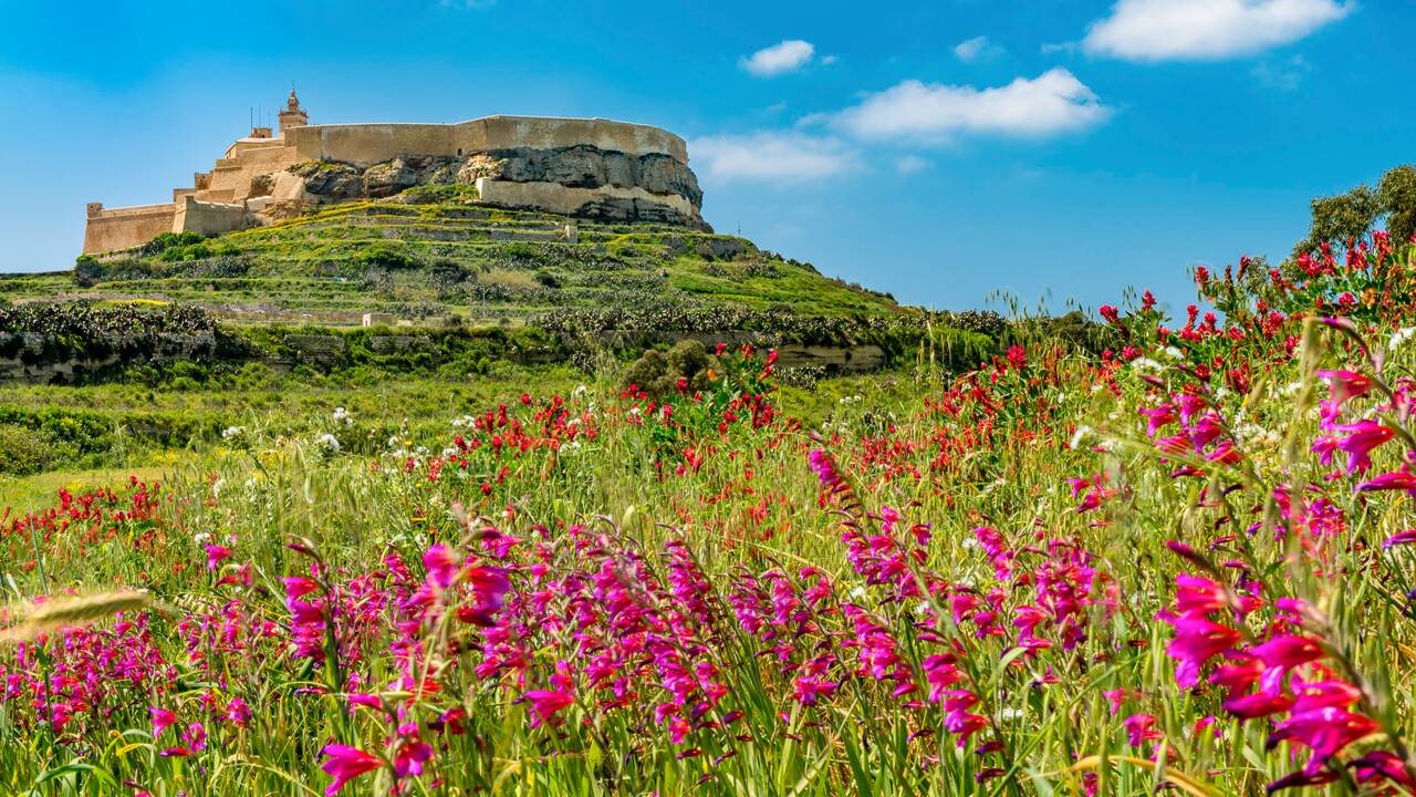 Malte, l’archipel des belles surprises