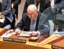 Isolée à l'ONU, la Russie renonce au vote d'une résolution sur l'Ukraine