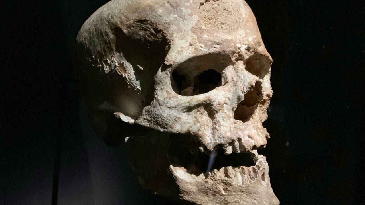 Homme de Cro-Magnon : qui était cet hominidé découvert en 1868 dans un abri de Dordogne ? 