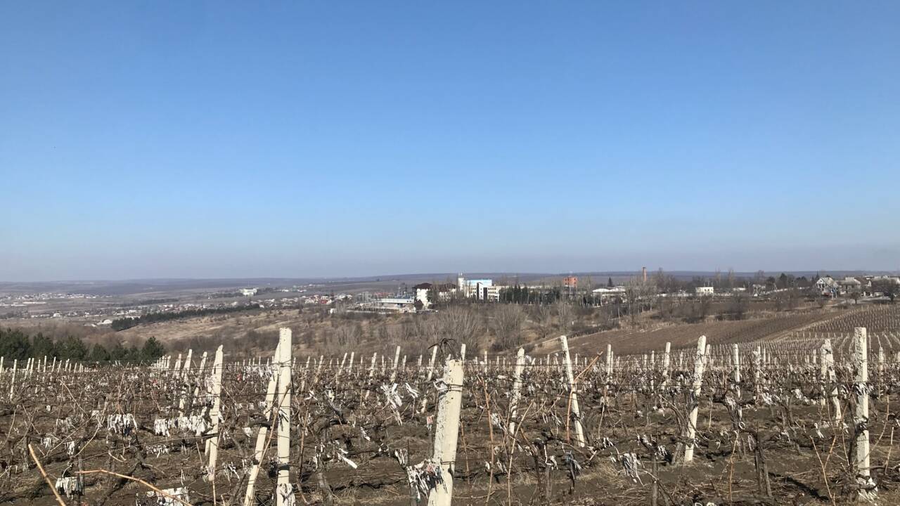 En Moldavie, Vladimir Poutine stocke son vin à Cricova et ses troupes en Transnistrie