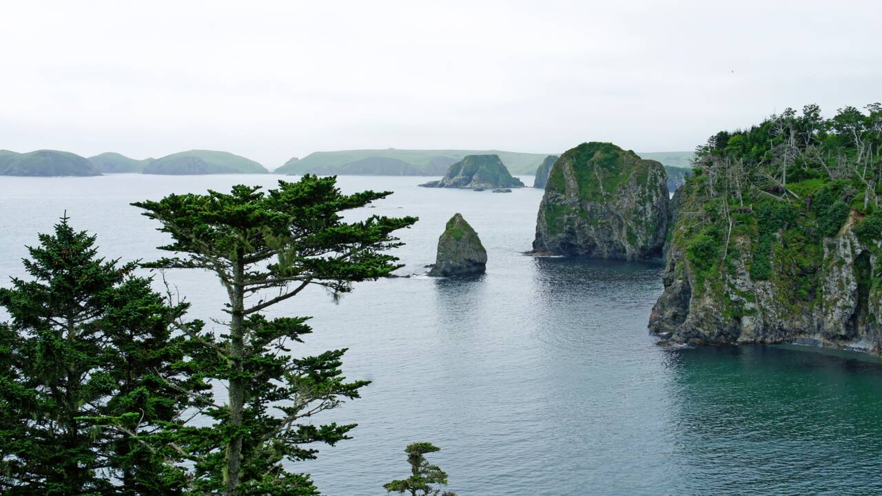 Au sein de l'archipel des Kouriles, les quatre îles de la discorde entre le Japon et la Russie