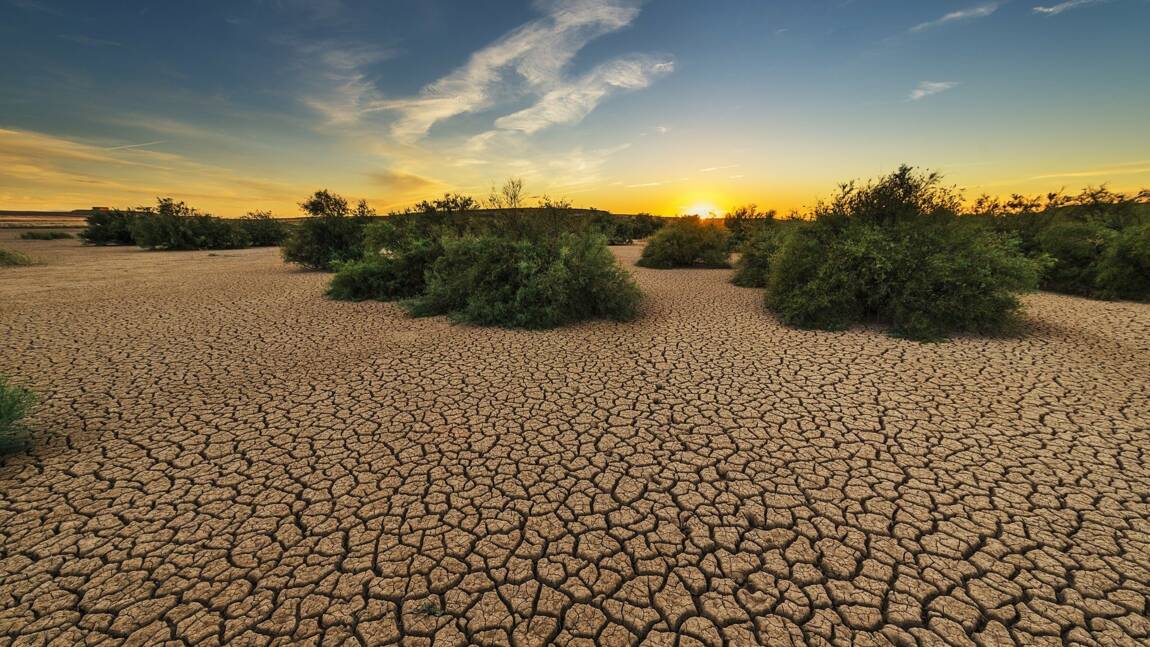 Pire sécheresse à l'ouest des États-Unis depuis 1.200 ans