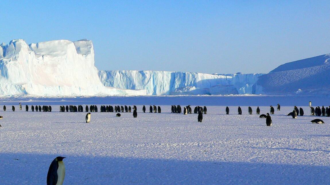 Nouveau job le plus cool du monde ? Devenez postier en Antarctique... et comptez les manchots !