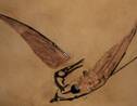 Le ptérosaure, ce reptile majestueux de l'époque des dinosaures avait-il des plumes ?