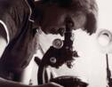 Qui était Rosalind Franklin, à qui l'on doit la découverte de la structure de l'ADN ?