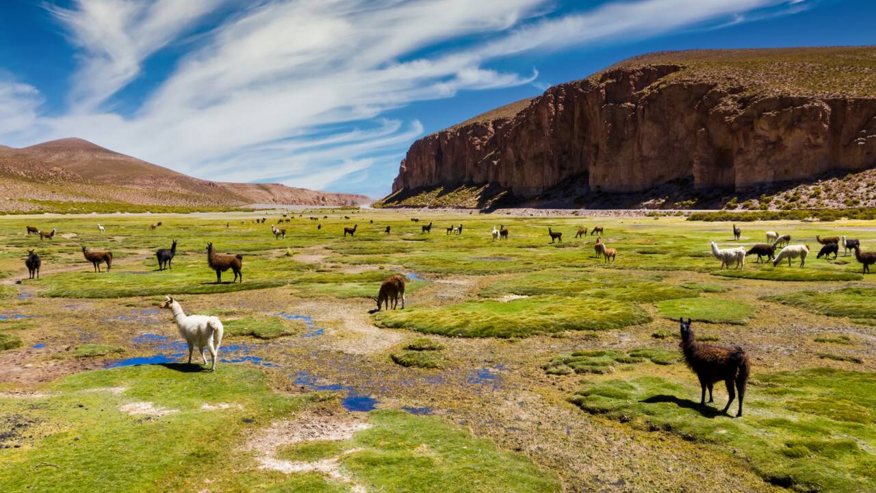 Bolivie : quels sont les sites incontournables de l'Altiplano bolivien ?