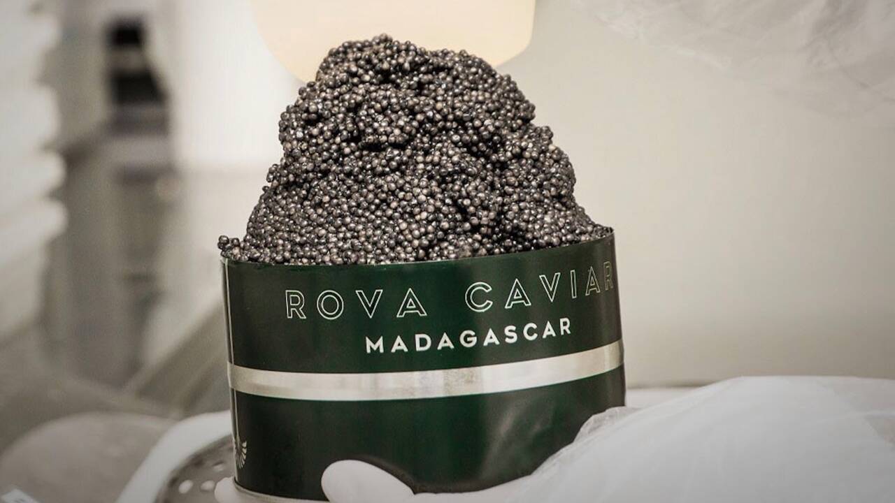 Quand le caviar vient de Madagascar : un produit de luxe dans l’un des pays les plus pauvres du monde