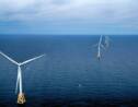 Energies renouvelables : les éoliennes en mer, bénéfiques pour les poissons ?