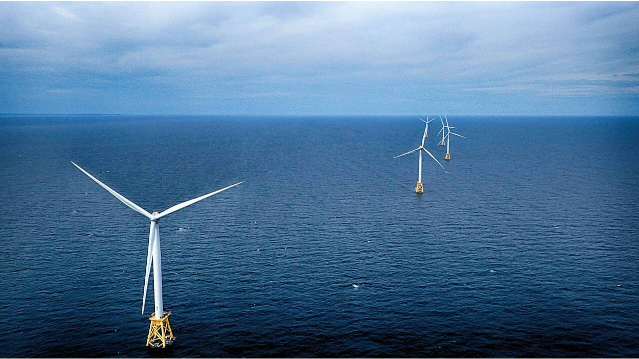 Energies renouvelables : les éoliennes en mer, bénéfiques pour les poissons ?