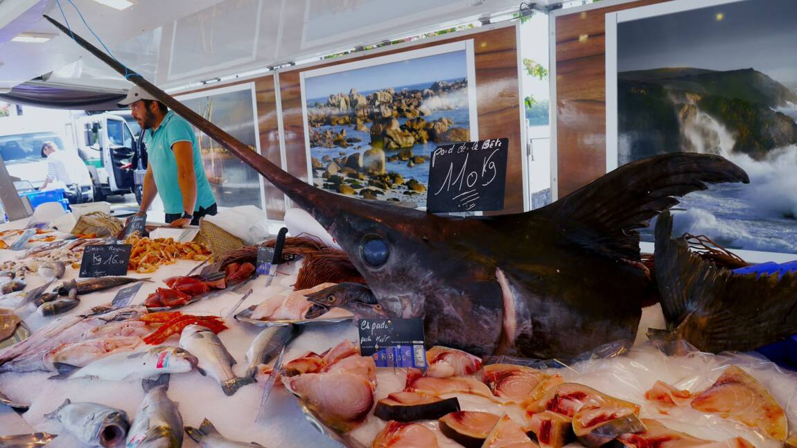 Jour de dépendance 2022 pour les poissons : A partir de ce lundi 2 mai, la France a épuisé sa production locale