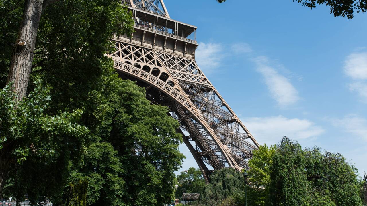 Polémique autour de l'abattage prévu d'arbres au pied de la Tour Eiffel à Paris