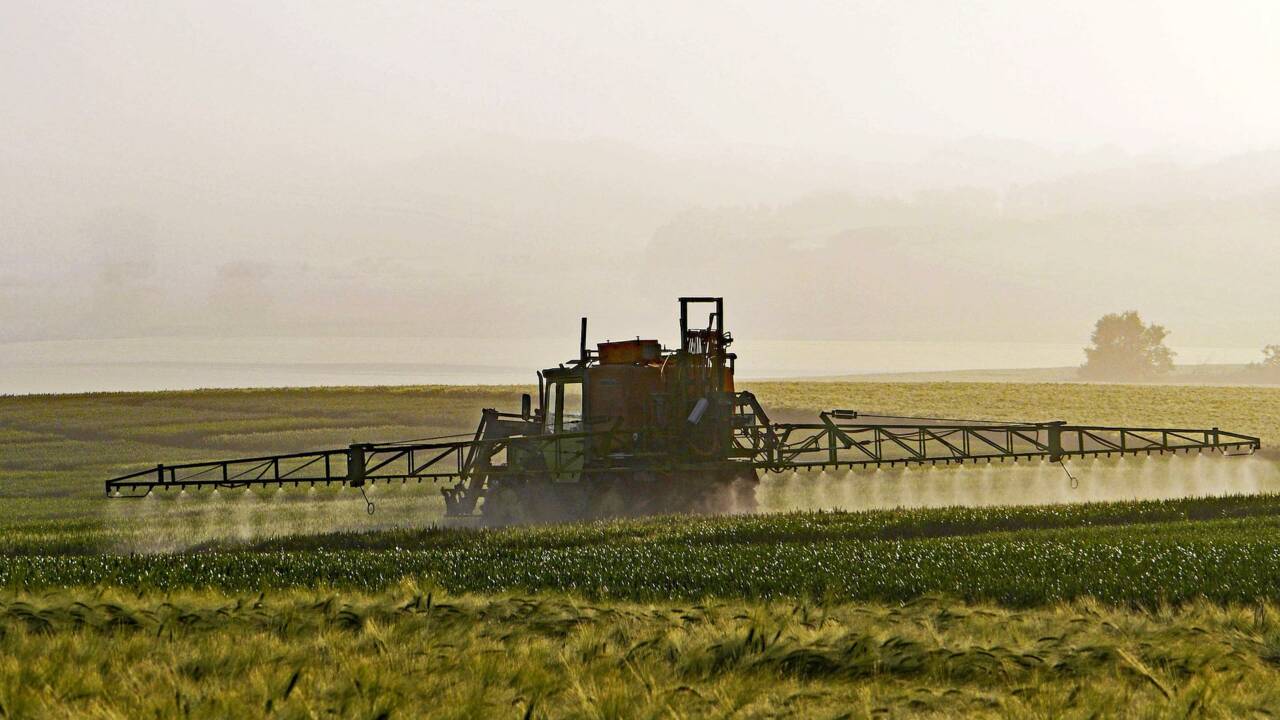 Pesticides : un rapport synthétisant 4.000 études souligne l'ampleur de la contamination de l'environnement