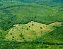 Déforestation en Amazonie : Nouveau record battu au Brésil en avril avec plus de 1.000 km2 déboisés