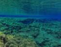 Océan Pacifique : un étrange chemin de briques découvert à 1.000 mètres de profondeur